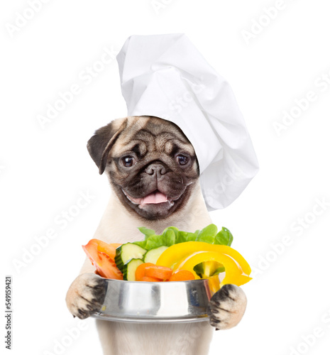 Happy Pug puppy wearing chef's hat holds bowl of vegetables. isolated on white background © Ermolaev Alexandr
