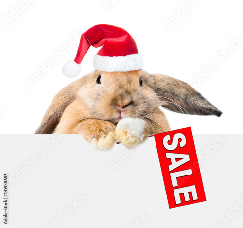 Wallpaper Mural Rabbit wearing red santa hat looking over empty white banner and showing signboard with labeled "sale". Isolated on white background Torontodigital.ca