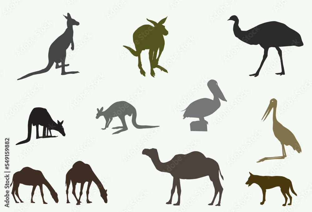 Obraz premium variety of different Australian animals and birds