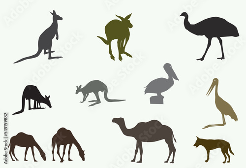 variety of different Australian animals and birds
