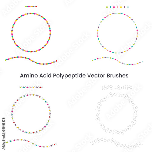 Amino Acid Polypeptide Vector Brush Set