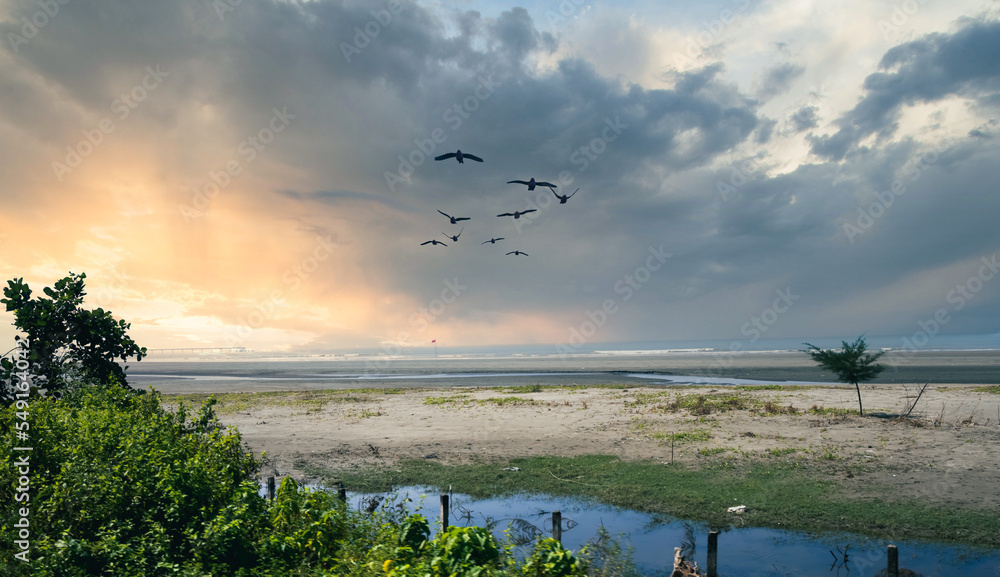 Obraz premium The vast sea is visible, birds are flying in the sky, the sun is setting.