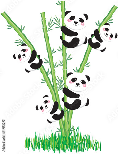 panda with bamboo leaves