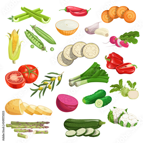 Farm fresh vegetables big set. Collection of veggies icons. Best for menu and package designs. Vector illustrations isolated on white background.