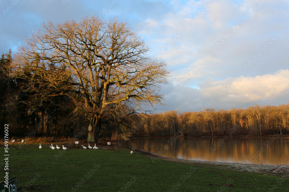 Bergerie nationale - Rambouillet - Yvelines - Ile-de-France - France