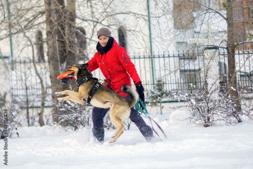 Girl playing with dog in snowy, enjoying the weather. Pet training. Selective focus Girl playing with dog in snowy, enjoying the weather. Pet training. Selective focus