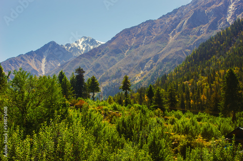 landscape in autumn in Himachal, India