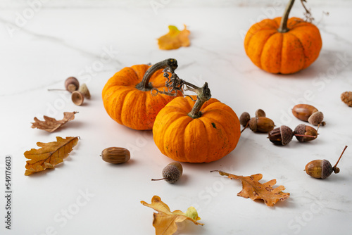 Close up of small pumpkin Thanksgiving concept