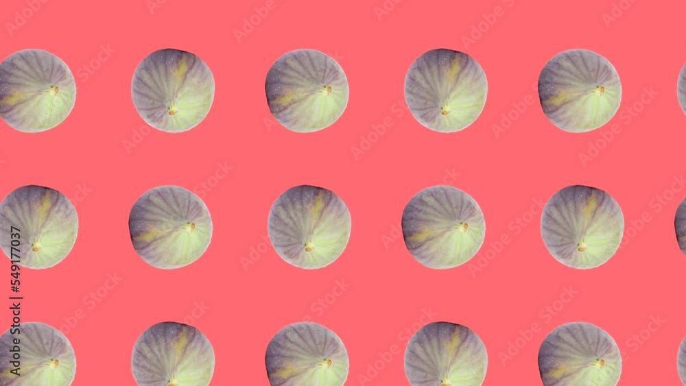 Figs in animated grid seamless loop pattern on a coral background. Abstract background with fresh fruit. Exotic food concept illustration Figs in animated grid seamless loop pattern on a coral background. Abstract background with fresh fruit. Exotic food concept illustration