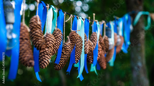 Fir cones and blue garlands hungs outdoors. photo
