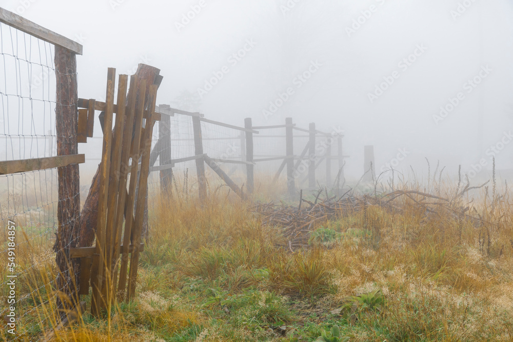 Mystischer Nebelwald im Lausitzer Gebirge 7 Mystischer Nebelwald im Lausitzer Gebirge 7