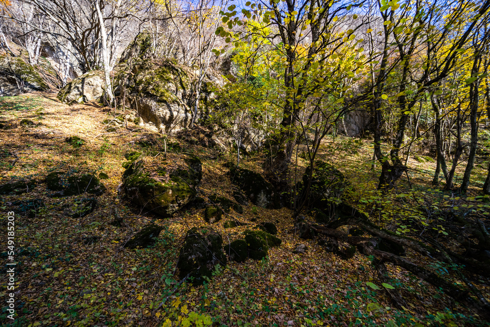 Fototapeta premium Autumnal landscape of Birtvisi canyon