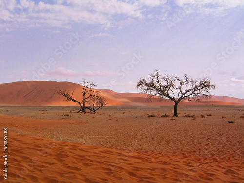 The Sossusvlei desert  Namibia. Nobody. Nature  Africa  Sands
