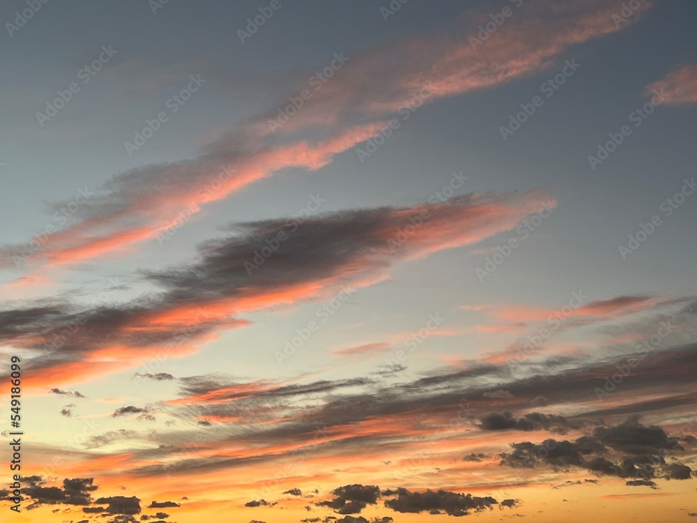 ピンクに染まる夕焼け ピンクに染まる夕焼け