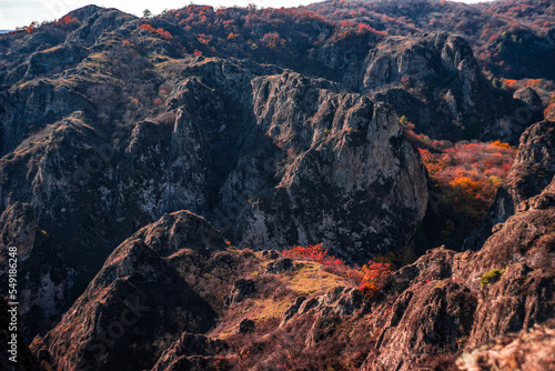 Fototapeta Naklejka Na Ścianę i Meble -  Autumnal landscape of Birtvisi canyon