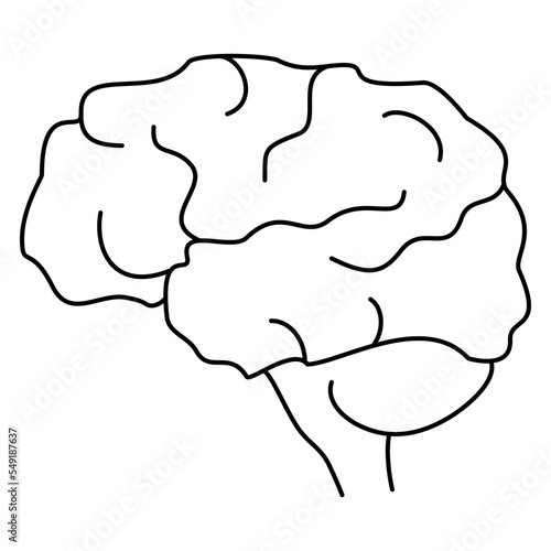 The brain is the organ that is the center of the nervous system. Modern minimal black thin line vector icon isolated on transparent background. Line thickness editable
