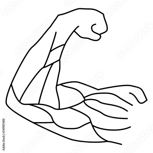 Male forearm with muscles. Modern minimal black thin line vector icon isolated on transparent background. Line thickness editable