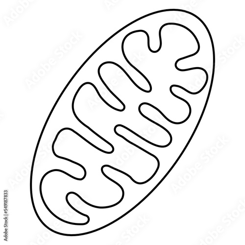 Mitochondria. Modern minimal black thin line vector icon isolated on transparent background. Line thickness editable photo