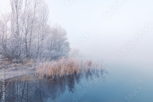 Foggy dawn scenery. Amazing white rime on the tree branches and dry reeds with reflection in the still water on the dreamy lake on the autumn frosty morning.