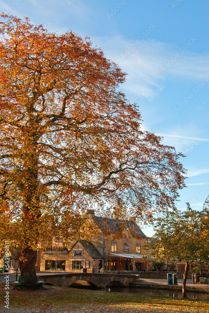 Bourton on the Water Autumn Trees Cotswolds UK Bourton on the Water Autumn Trees Cotswolds UK