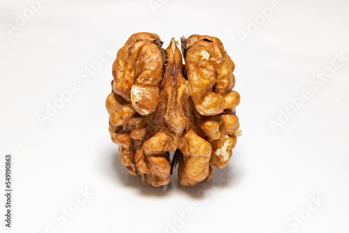 Walnut, European walnut (Juglans regia L.) open, isolated on white background, full depth focus.