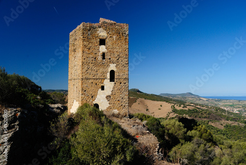 Veduta della torre di Casteldoria photo