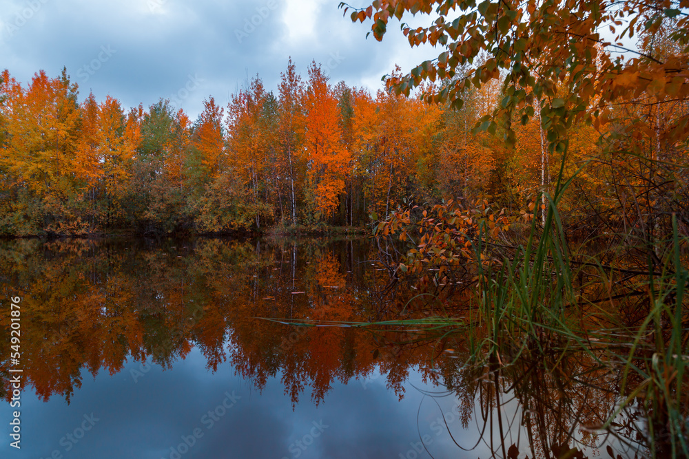 Autumn landscape near a forest lake covered with grass