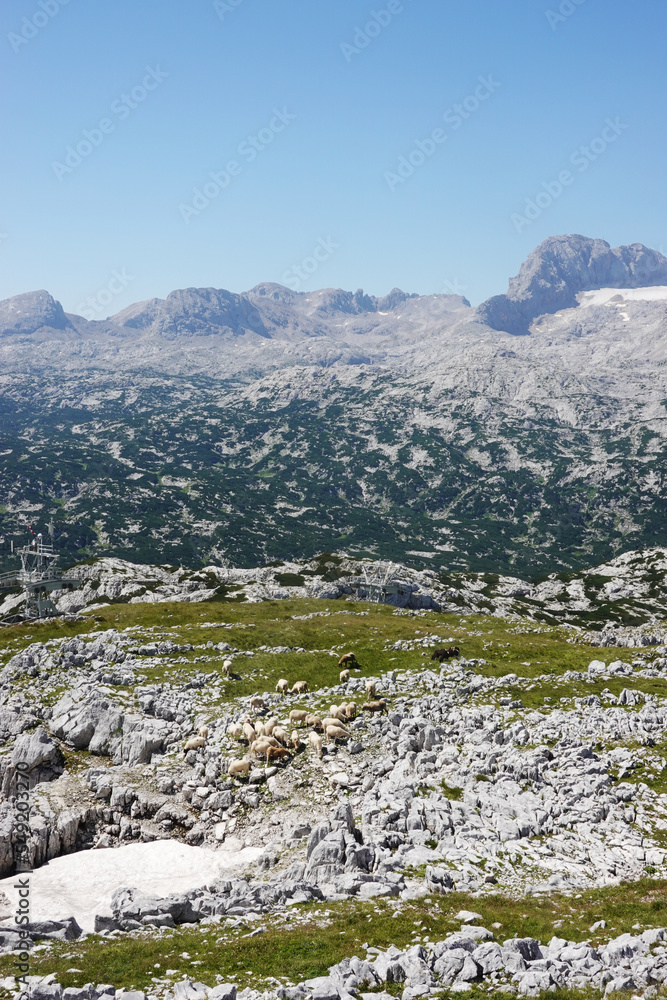 Dachstein mountain glacier, the view from Krippenstein mountain, Austria Dachstein mountain glacier, the view from Krippenstein mountain, Austria