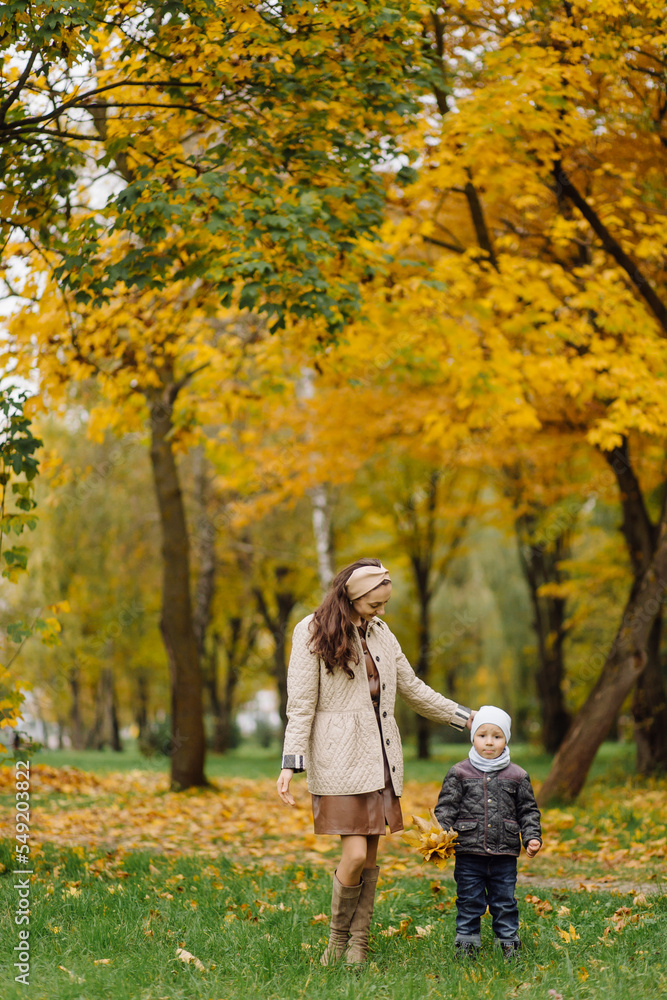 Mom and son walking and having fun together in the autumn park. Mom and son walking and having fun together in the autumn park.