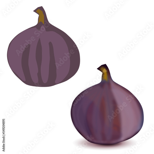 Vector fruit fig purple flat with shadows whole on white background