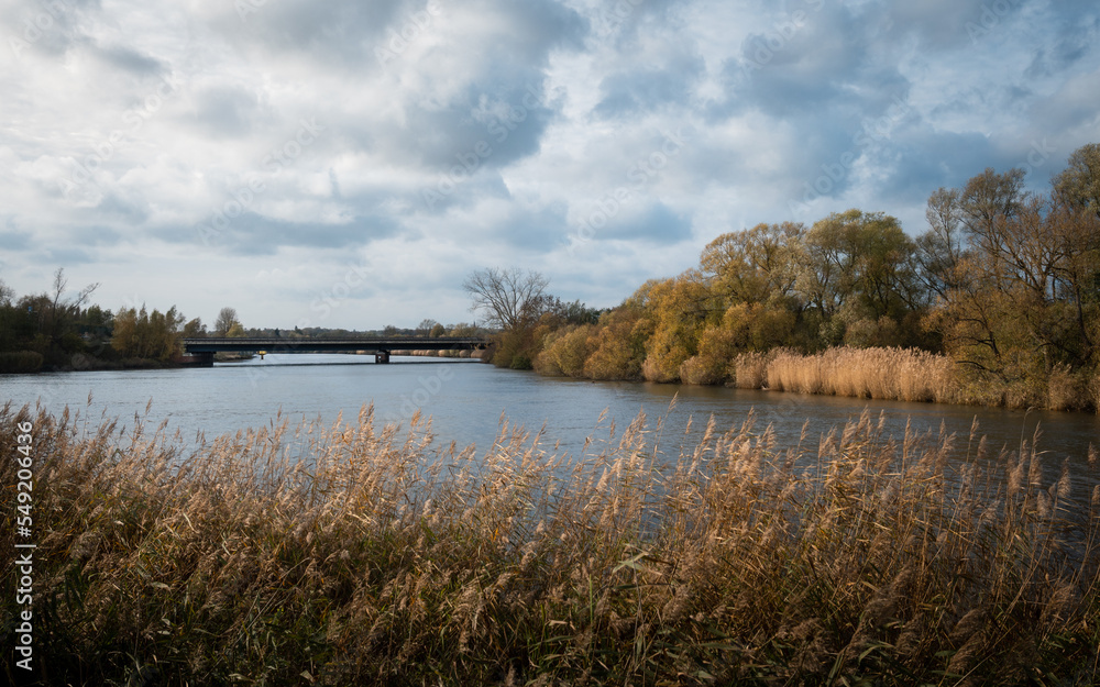Reeds along Lesum and Wümme river (side rivers of Weser) near Wasserhorst (Bremen) on a dramatic clouded autumn day. Willows, grey clouded sky and water. Reeds along Lesum and Wümme river (side rivers of Weser) near Wasserhorst (Bremen) on a dramatic clouded autumn day. Willows, grey clouded sky and water.