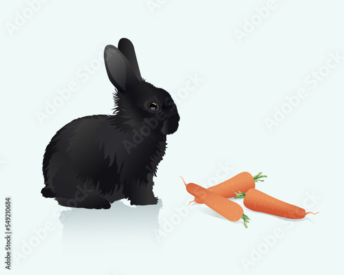 Cute little black bunny with carrot. Vector illustration of a black rabbit on a white background, isolated