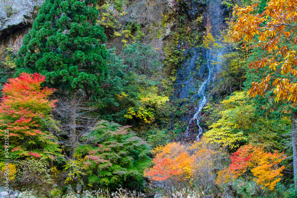紅葉始まる天空の滝 鳥取県 天空の滝
