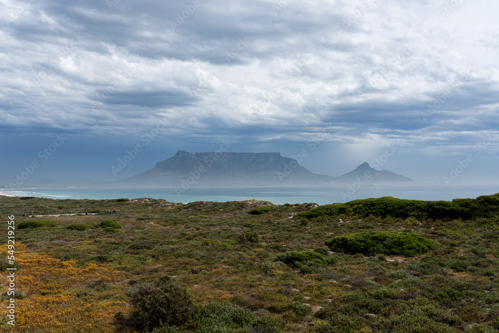 Fototapeta premium Dünen, Vegetation, Strand und Blick auf den Tafelberg.