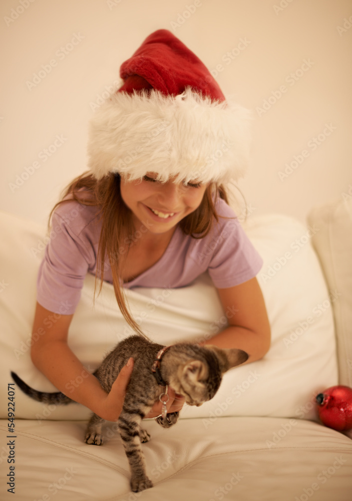 Christmas, child and cat kitten for present or gift of love for happiness, care and holiday celebration in family home. Smile of girl excited and happy for xmas animal in house while playing together Christmas, child and cat kitten for present or gift of love for happiness, care and holiday celebration in family home. Smile of girl excited and happy for xmas animal in house while playing together
