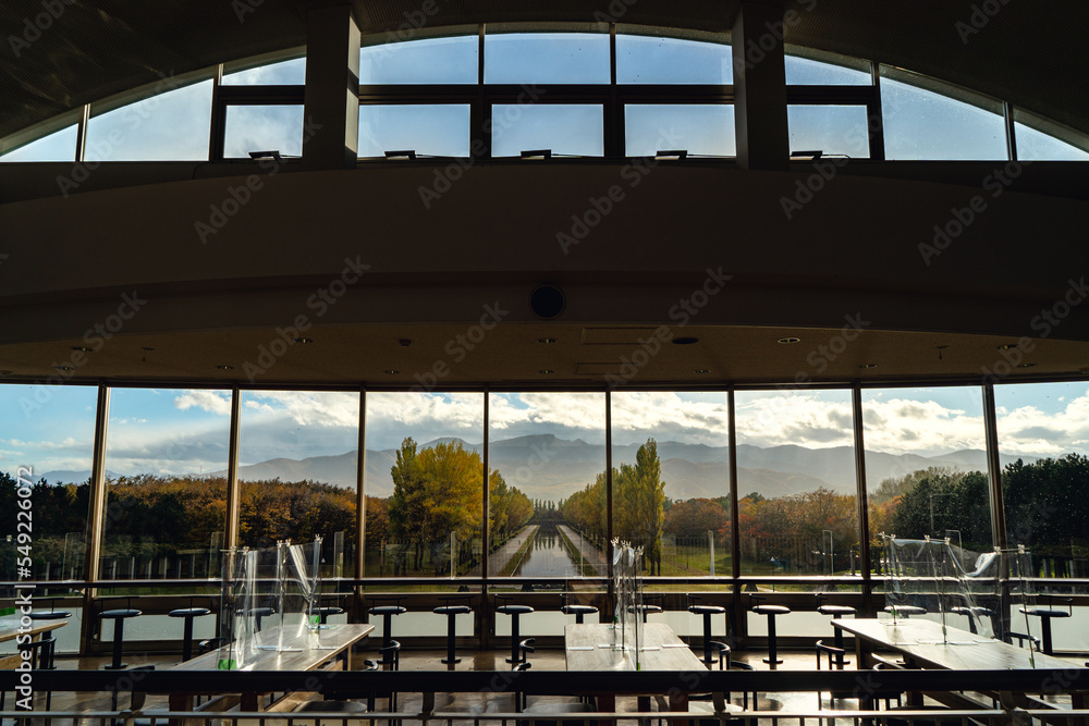 Fototapeta premium 公園の紅葉