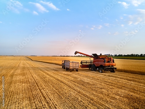 Aerial of overloading grain from combine harvester to grain box trailer in field on tractor. Harvester unloder pouring harvested wheat into a box body. Farmers at work. Agriculture  harvesting season.