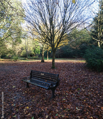 park bench inautumn