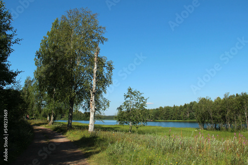 Forest and meadow by Ore river in Orsa, Sweden on a sunny summer day. photo