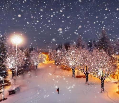 winter city snowy evening park trees covered by snow and people walk ,street lanter blurred light ,Christmas scene background, template
