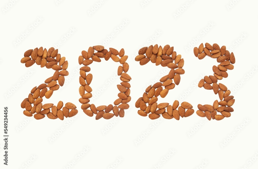 2023 Written with Almond Nut Isolated on White Background in Horizontal Orientation, Happy New Year 2023 Wishing Conceptual Photo 2023 Written with Almond Nut Isolated on White Background in Horizontal Orientation, Happy New Year 2023 Wishing Conceptual Photo