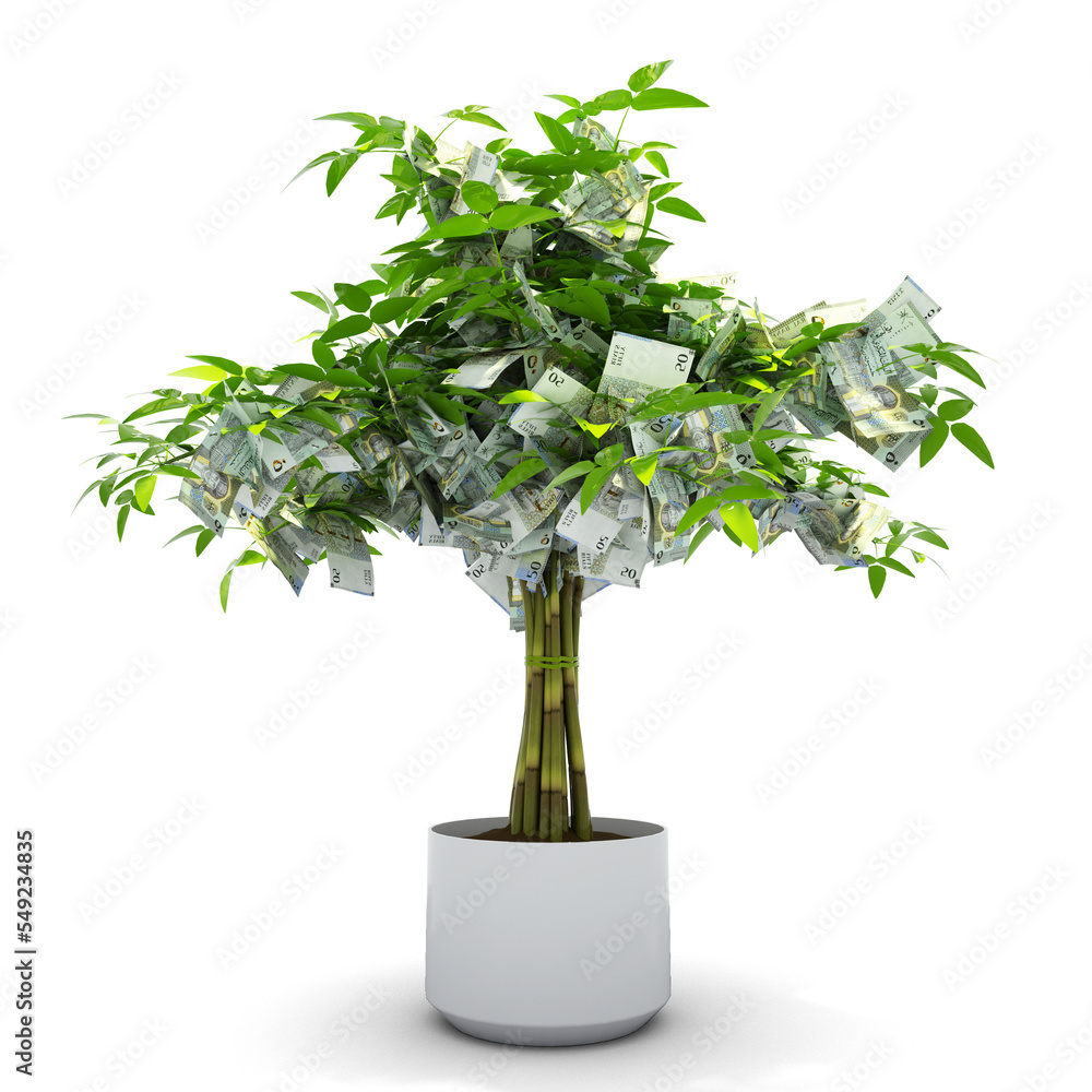 Omani rial tree. 3d rendering of Money on tree isolated on white background. financial growth Omani rial tree. 3d rendering of Money on tree isolated on white background. financial growth