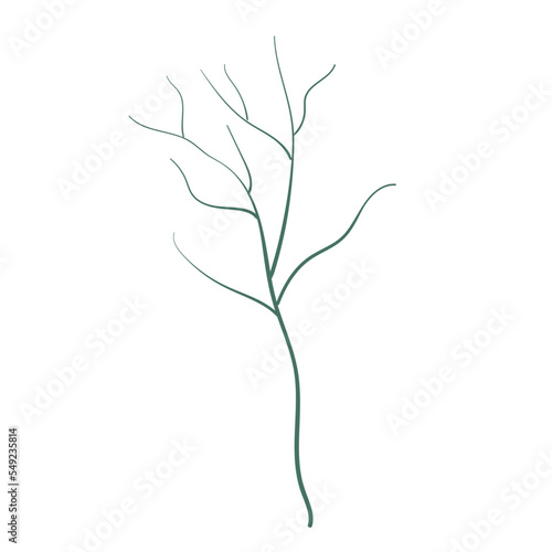 botanical leaves hand drawn vector element