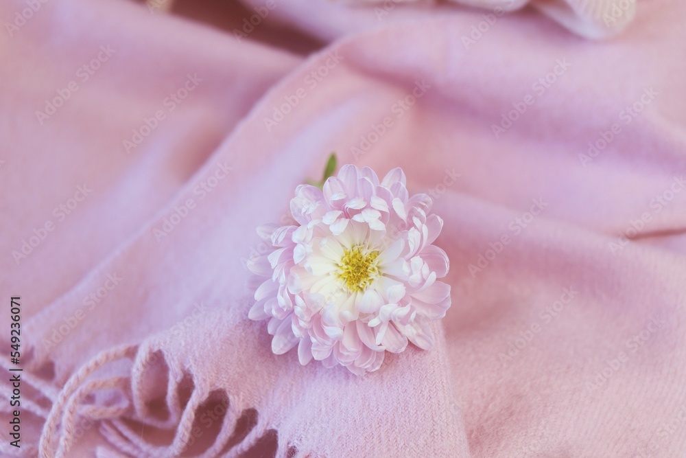 Cashmere texture, natural wool, pink cashmere clothes folded on the table, fabric background, top view, concept of warmth and winter comfort Cashmere texture, natural wool, pink cashmere clothes folded on the table, fabric background, top view, concept of warmth and winter comfort