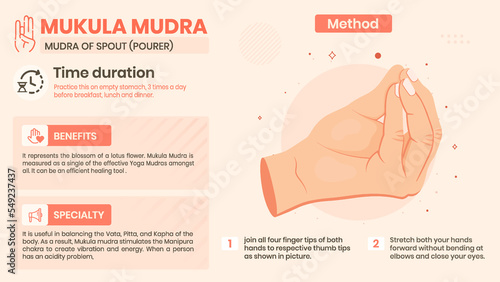 Exploring the Mukula Mudra Benefits, Characteristics and Method -Vector illustration design