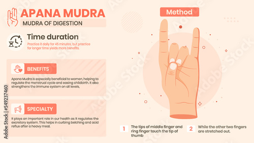 Exploring the Apana Mudra Benefits, Characteristics and Method -Vector illustration design