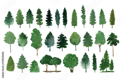 Hand drawn watercolor fir tree forest clipart collection