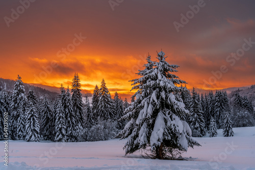 Winter im Schwarzwald