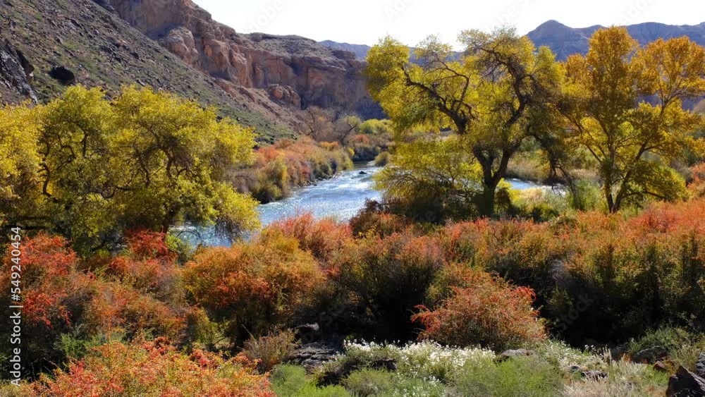 Charyn River in the golden autumn season; crystal clear water of a mountain river Charyn River in the golden autumn season; crystal clear water of a mountain river