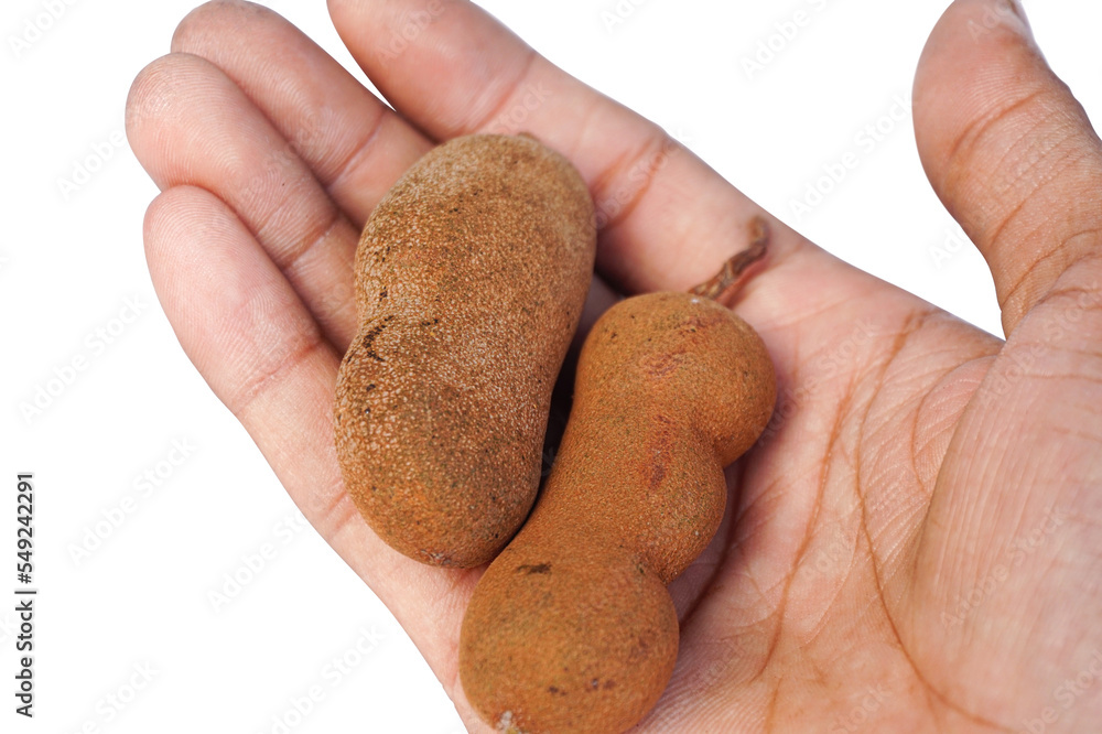 tamarind fruits isolated on white background. tamarind fruits isolated on white background.